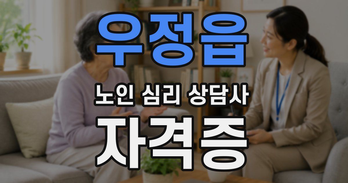 우정읍 노인 심리 상담사 자격증