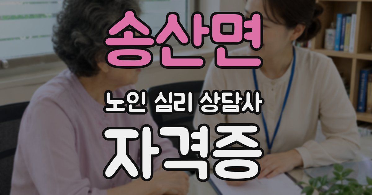 송산면 노인 심리 상담사 자격증