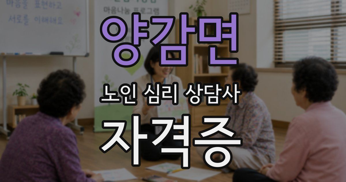 양감면 노인 심리 상담사 자격증