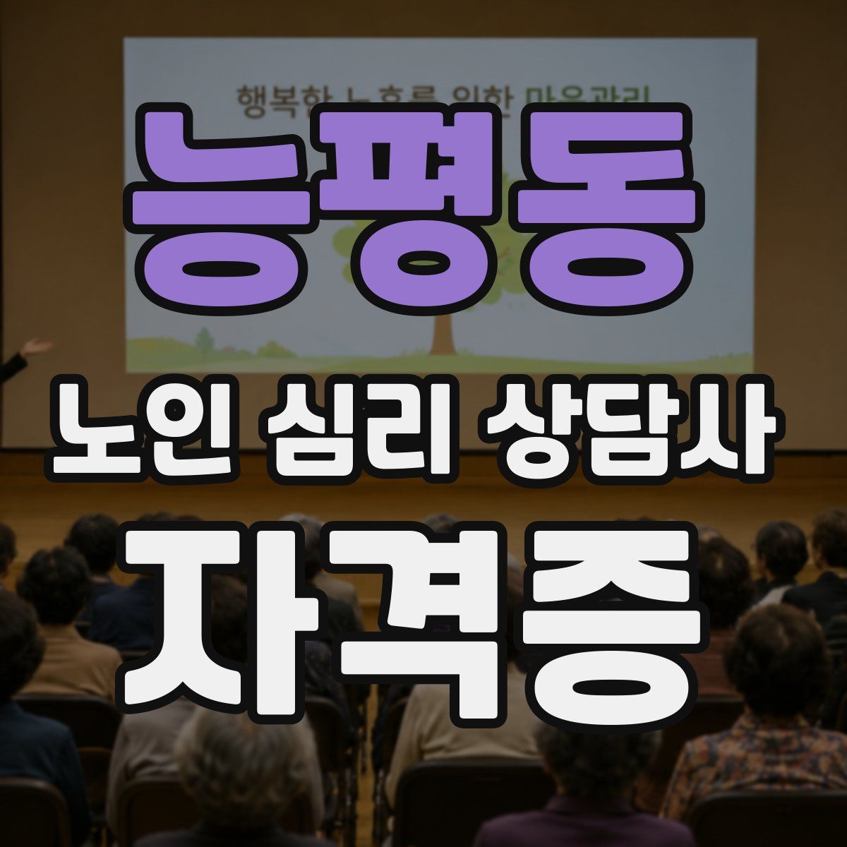 능평동 노인 심리 상담사 자격증
