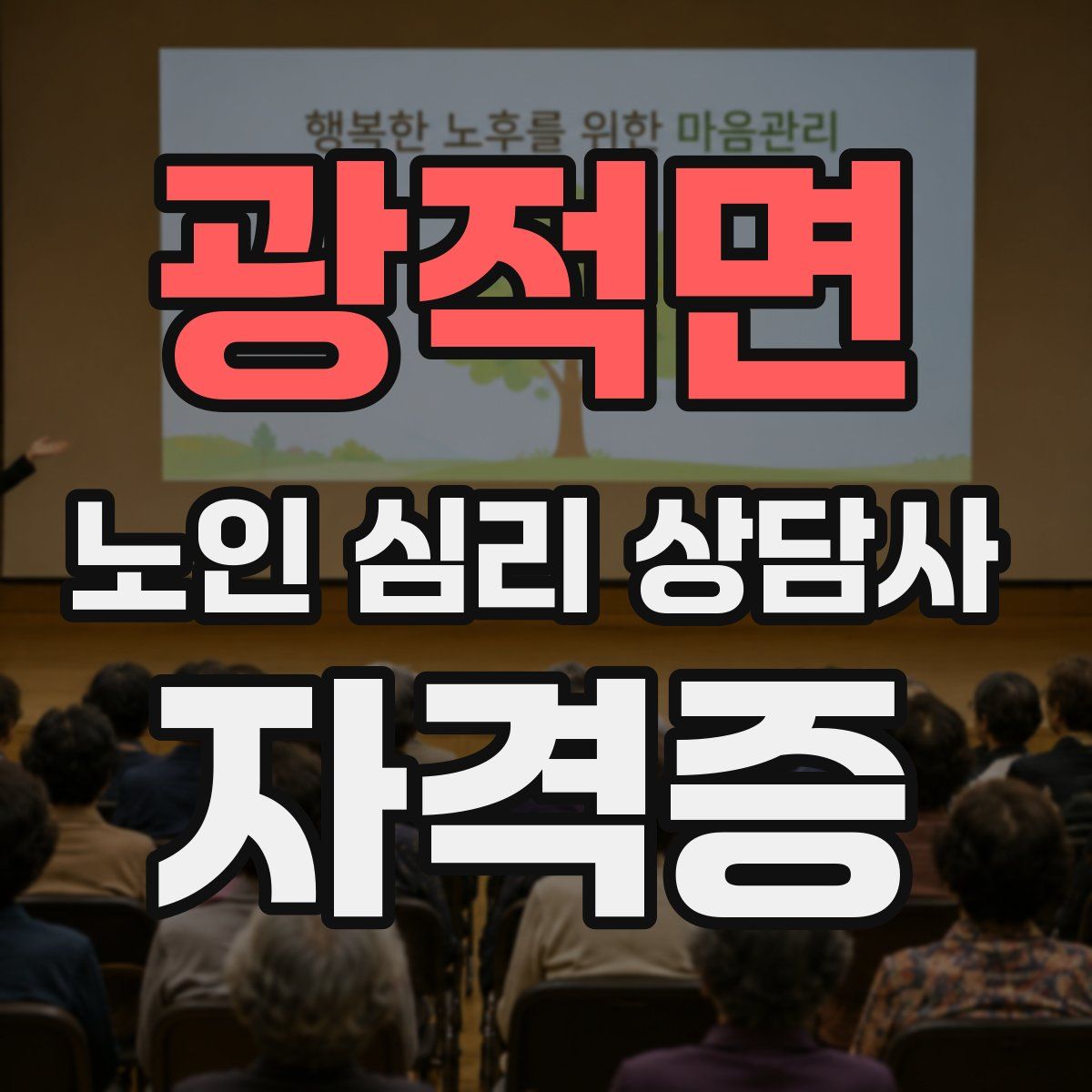 광적면 노인 심리 상담사 자격증