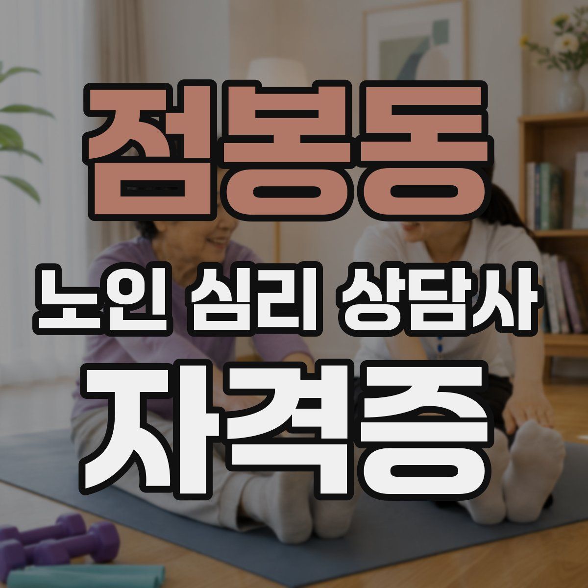 점봉동 노인 심리 상담사 자격증