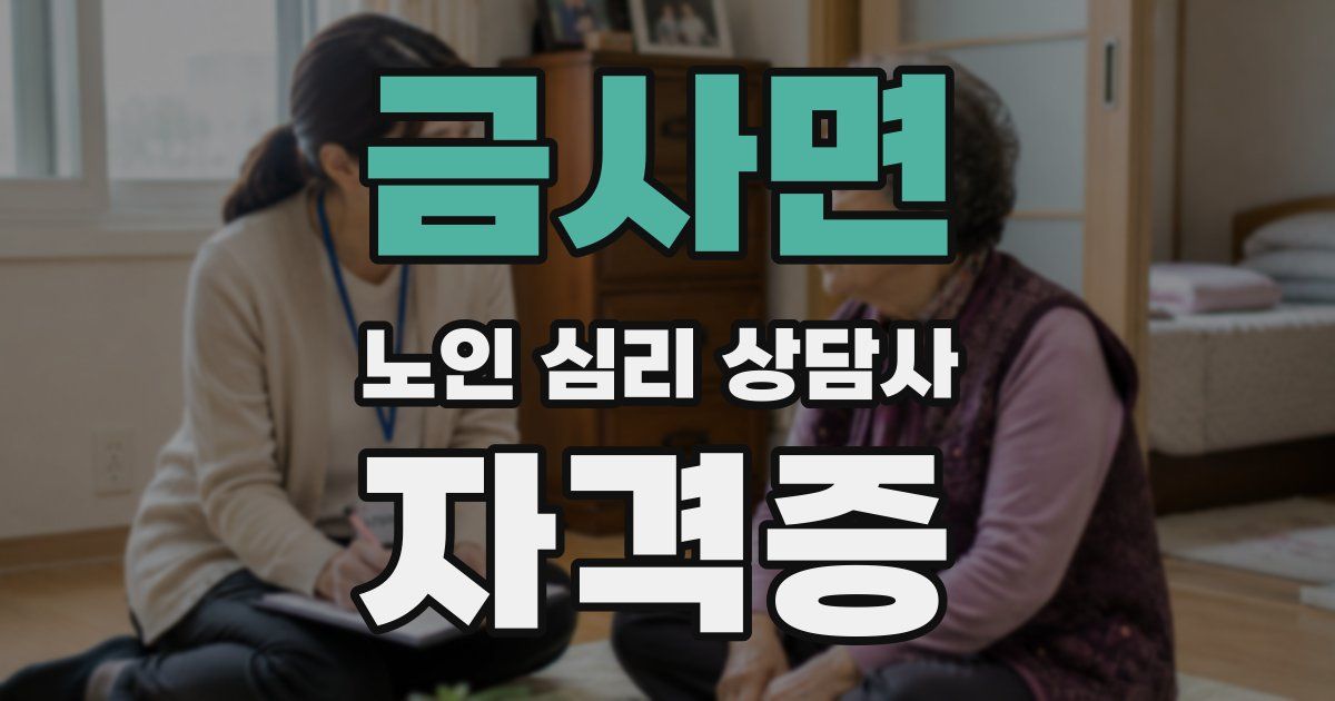 금사면 노인 심리 상담사 자격증