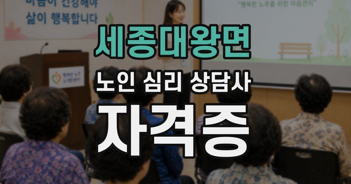 세종대왕면 노인 심리 상담사 자격증