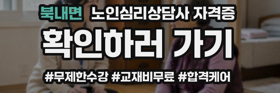 북내면 노인 심리 상담사 자격증