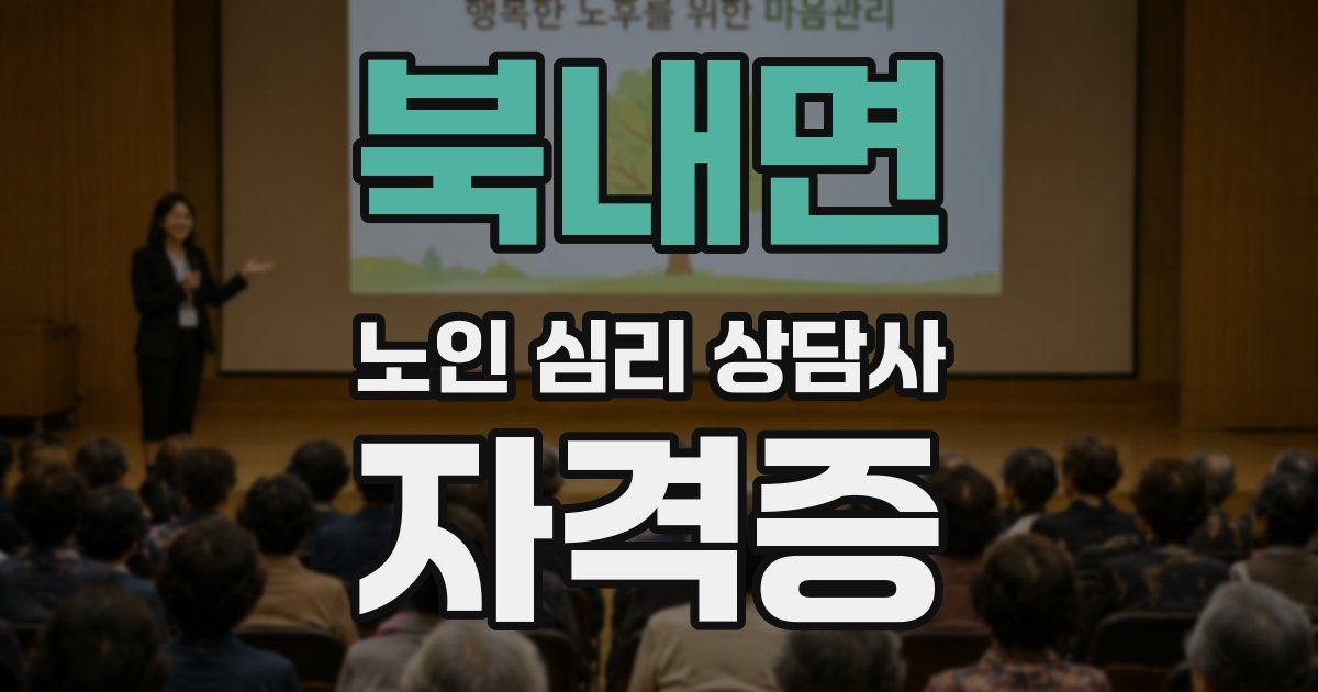북내면 노인 심리 상담사 자격증