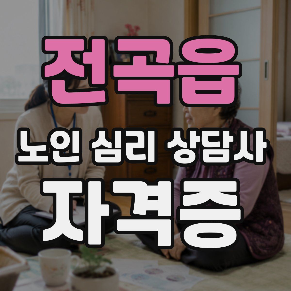 전곡읍 노인 심리 상담사 자격증