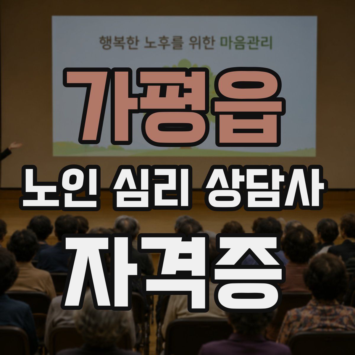 가평읍 노인 심리 상담사 자격증