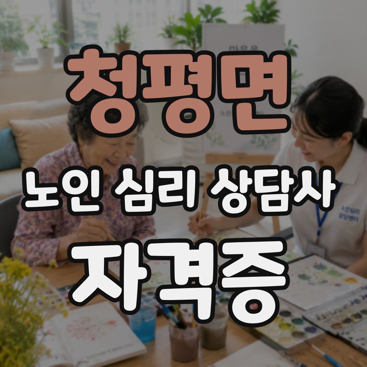 청평면 노인 심리 상담사 자격증
