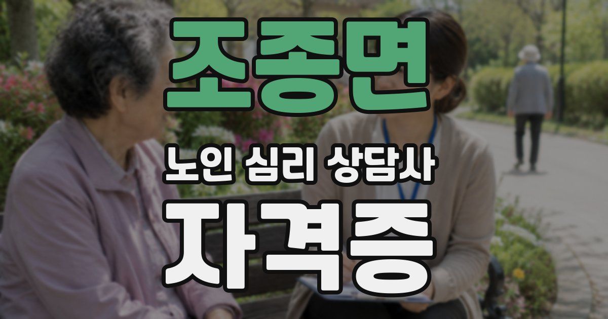 조종면 노인 심리 상담사 자격증