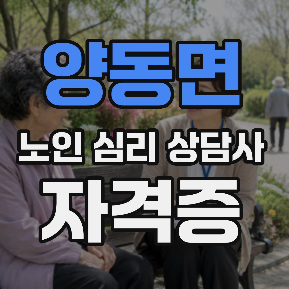 양동면 노인 심리 상담사 자격증