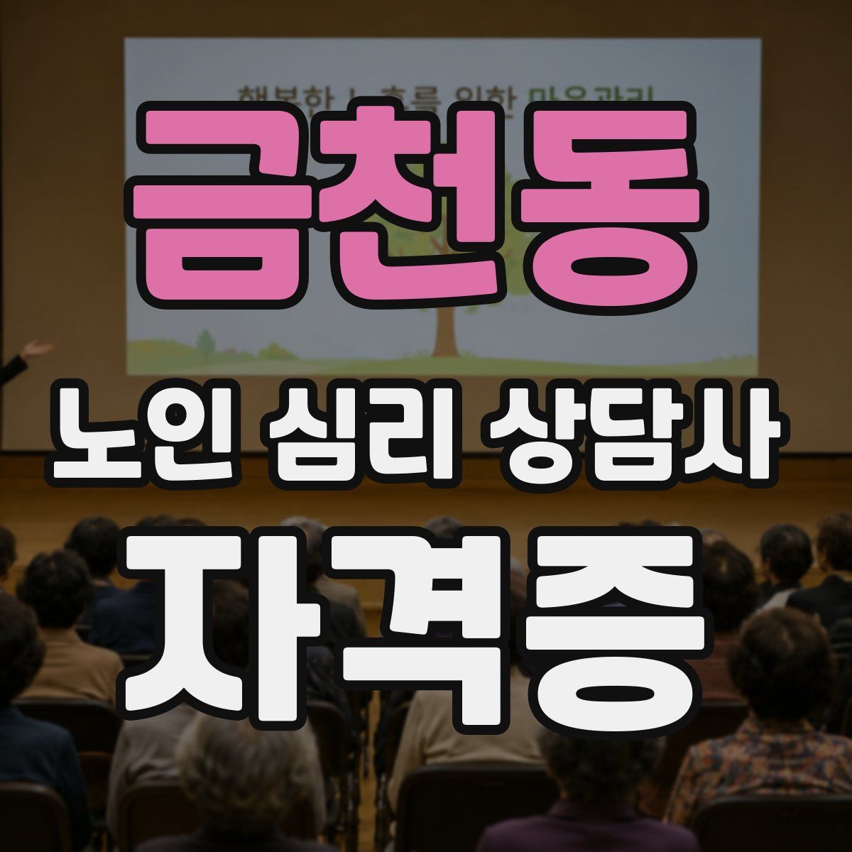 금천동 노인 심리 상담사 자격증