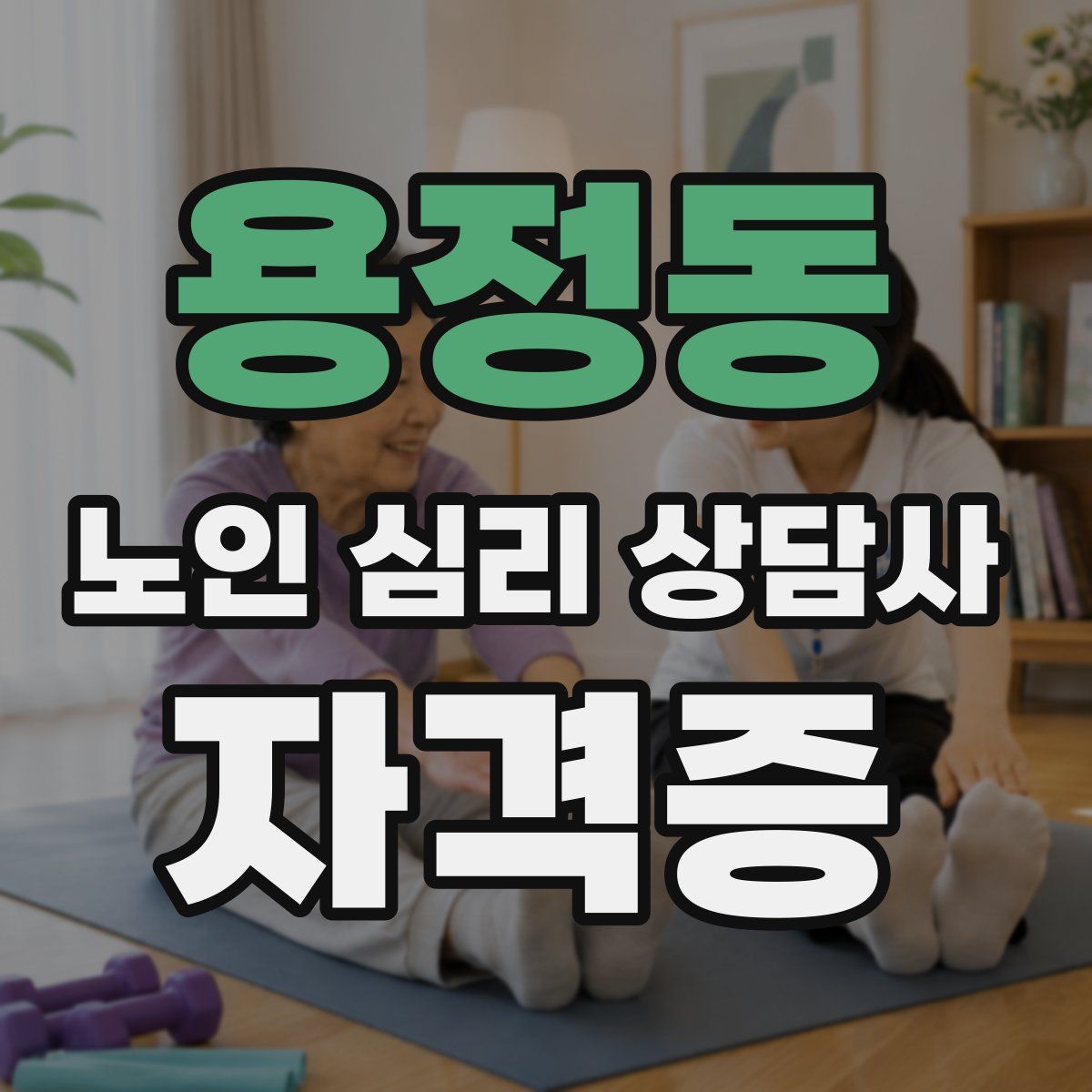 용정동 노인 심리 상담사 자격증