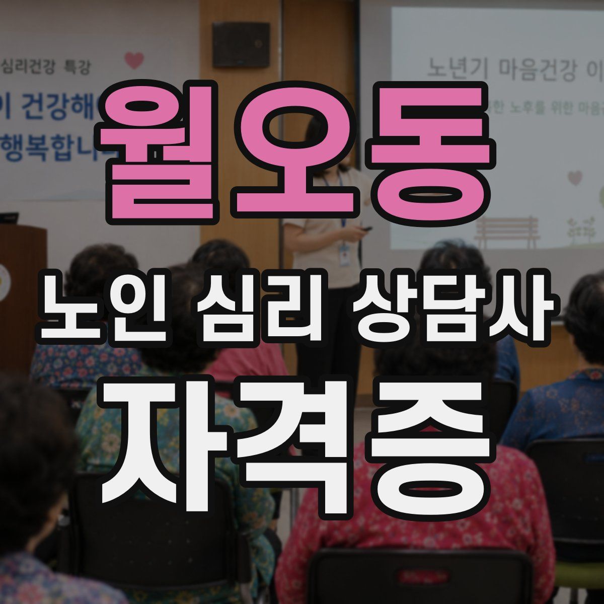 월오동 노인 심리 상담사 자격증