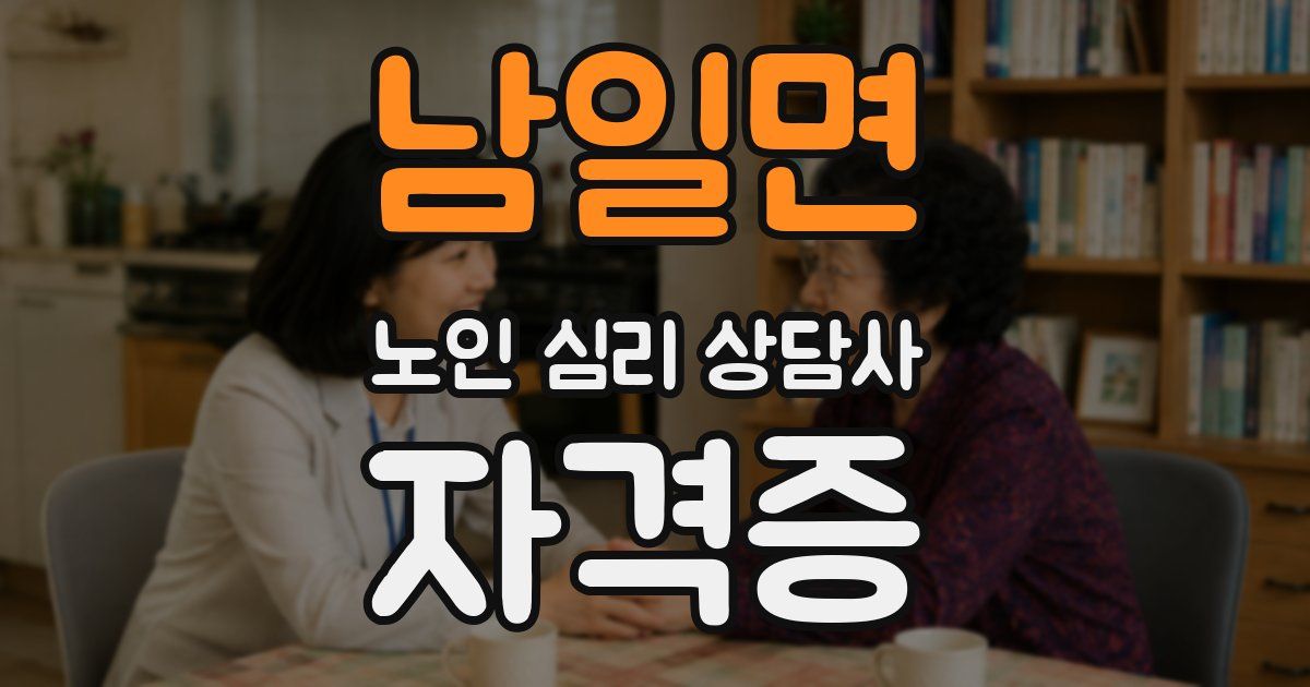 남일면 노인 심리 상담사 자격증