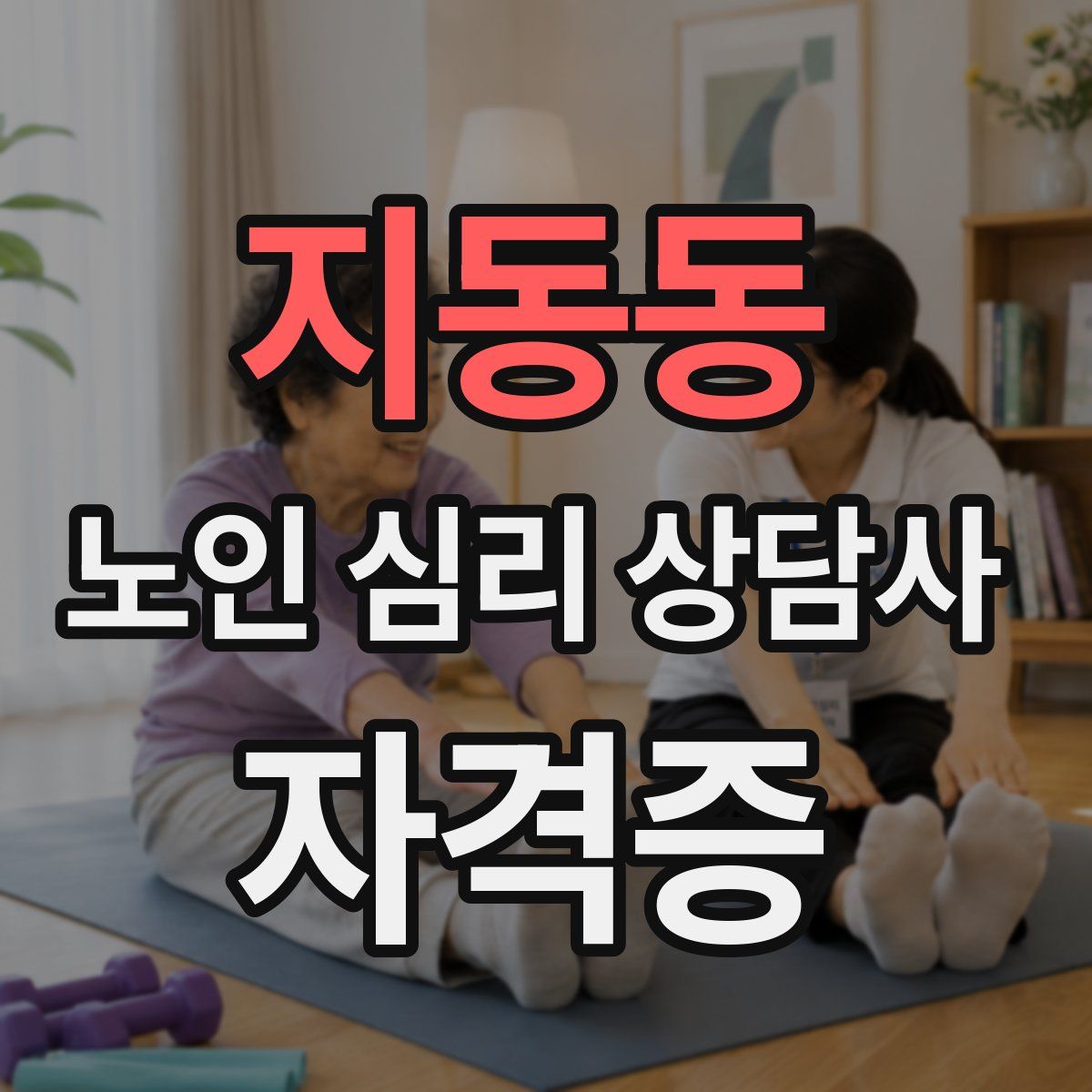 지동동 노인 심리 상담사 자격증