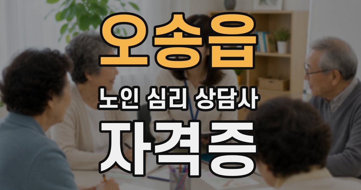 오송읍 노인 심리 상담사 자격증