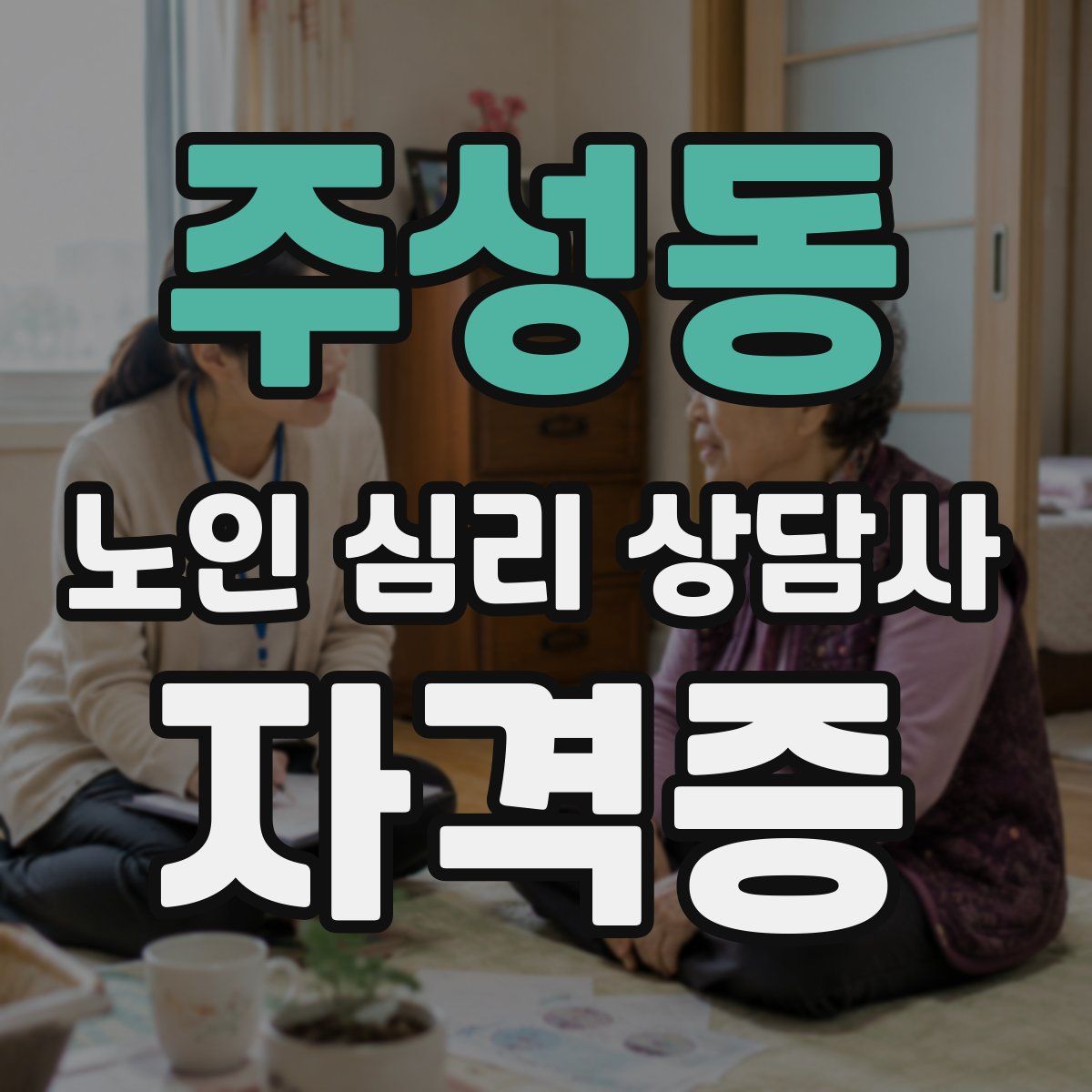 주성동 노인 심리 상담사 자격증
