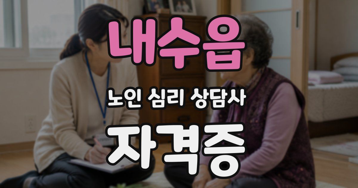 내수읍 노인 심리 상담사 자격증