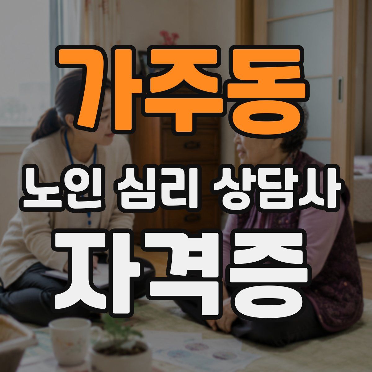 가주동 노인 심리 상담사 자격증