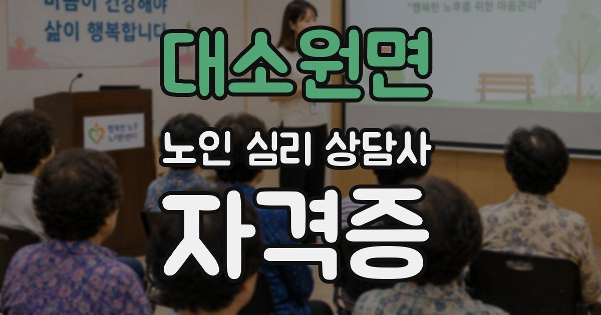 대소원면 노인 심리 상담사 자격증
