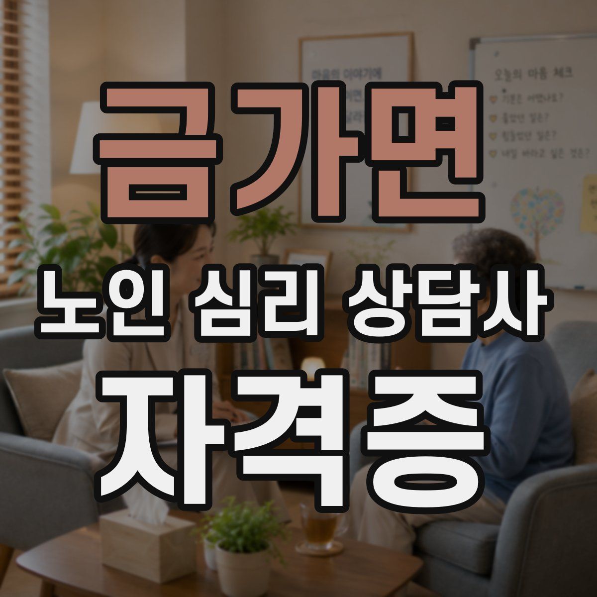금가면 노인 심리 상담사 자격증