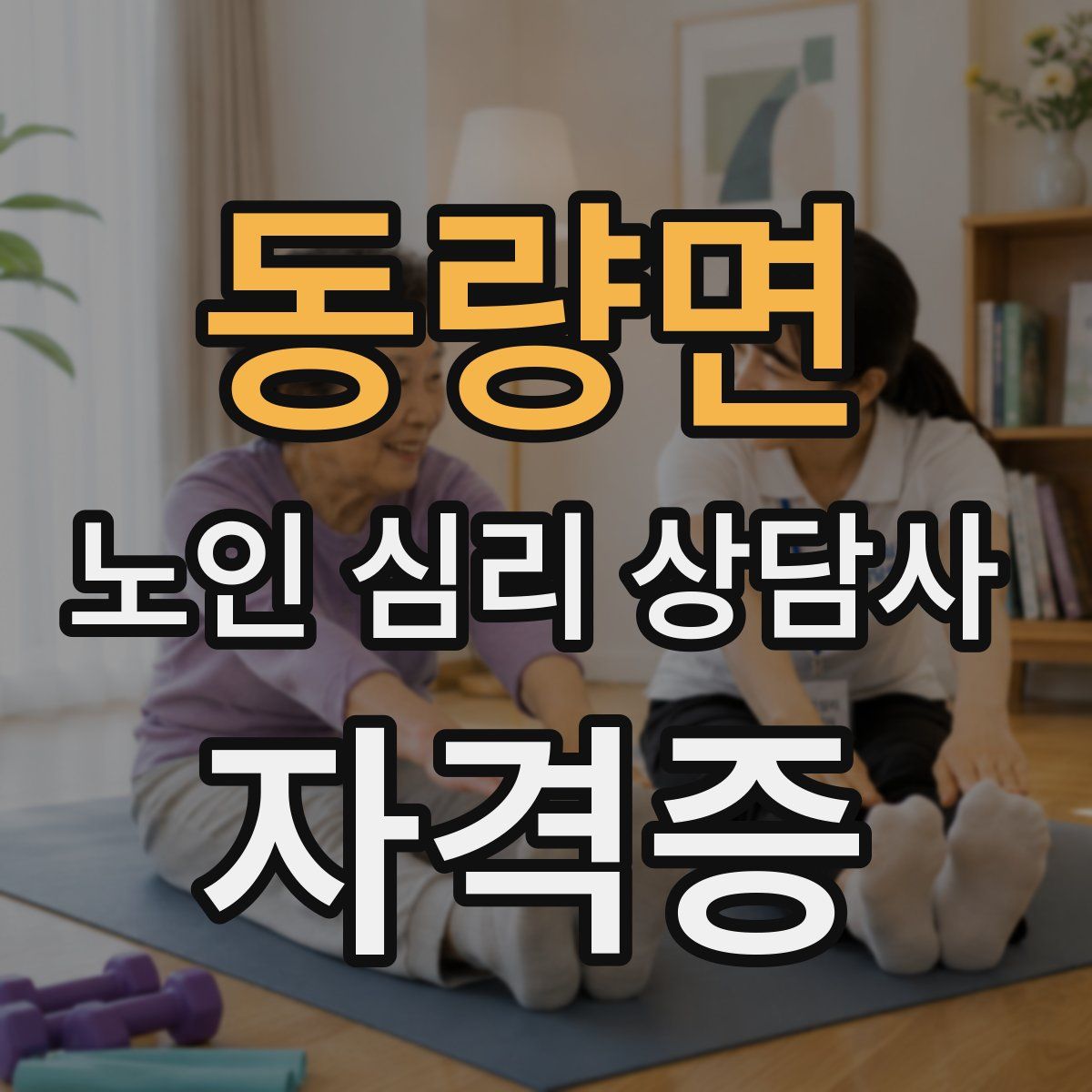 동량면 노인 심리 상담사 자격증