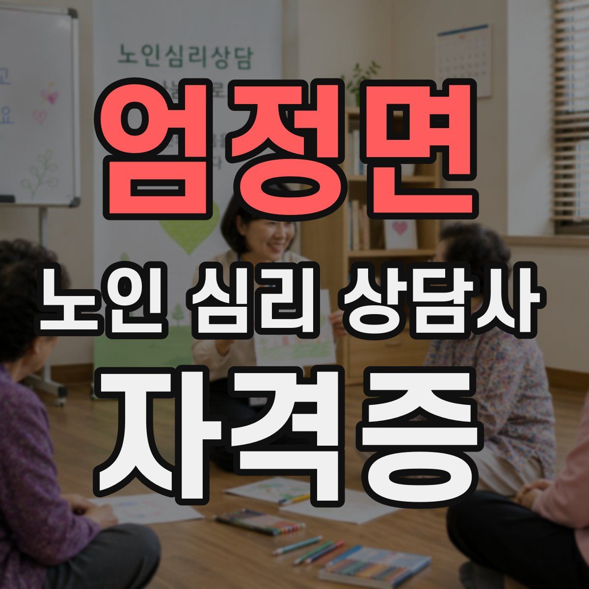 엄정면 노인 심리 상담사 자격증