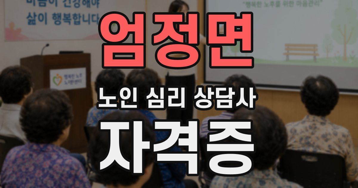 엄정면 노인 심리 상담사 자격증