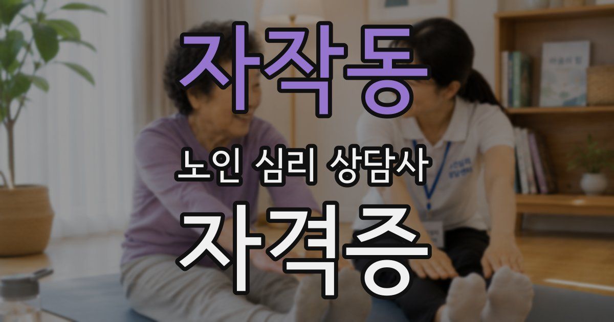 자작동 노인 심리 상담사 자격증