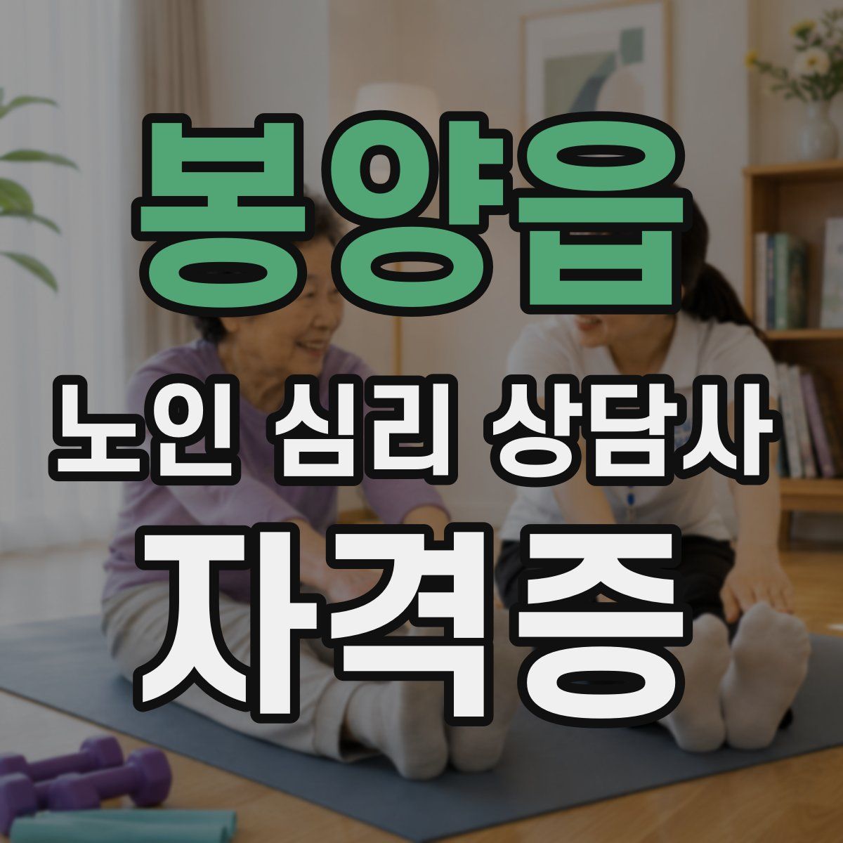봉양읍 노인 심리 상담사 자격증