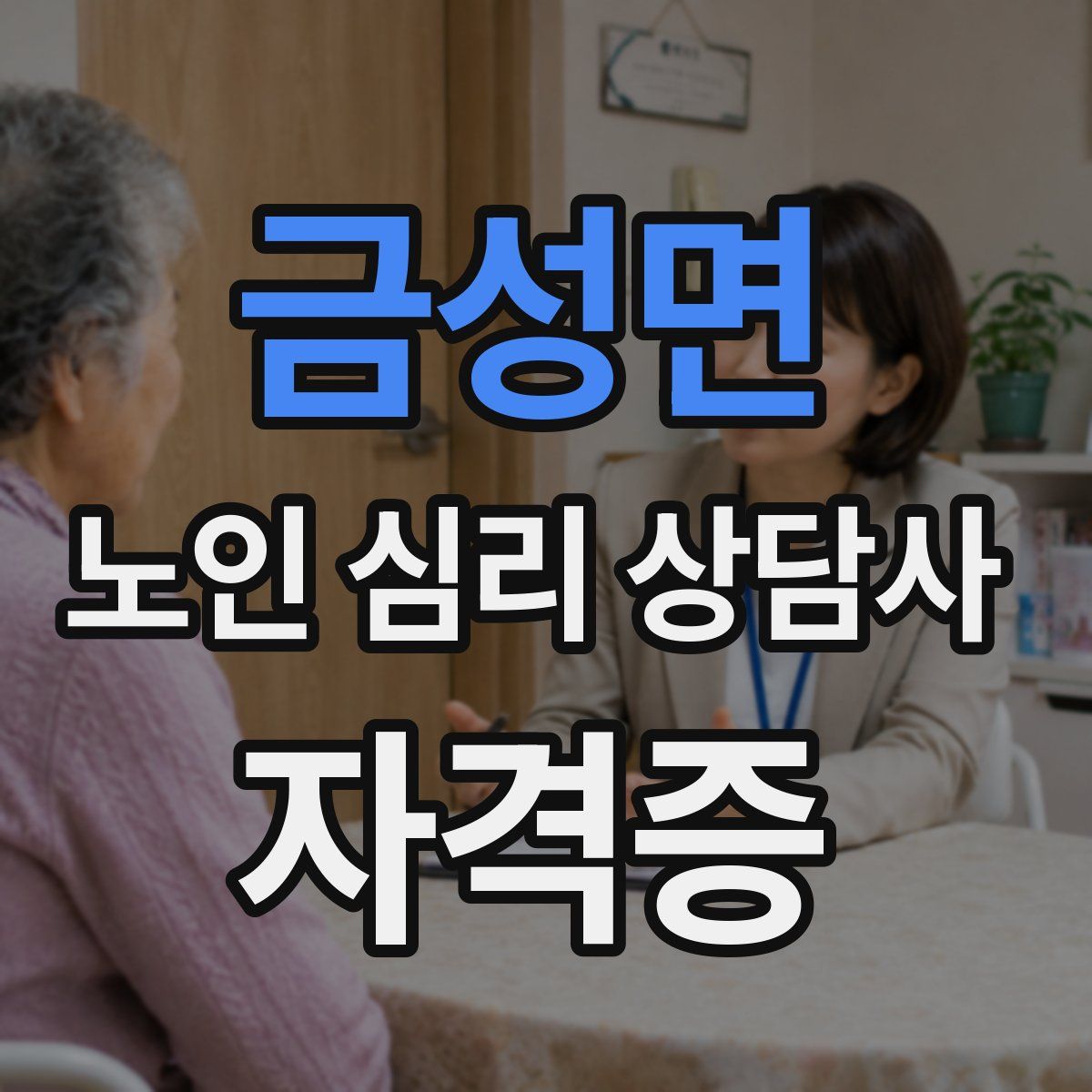 금성면 노인 심리 상담사 자격증