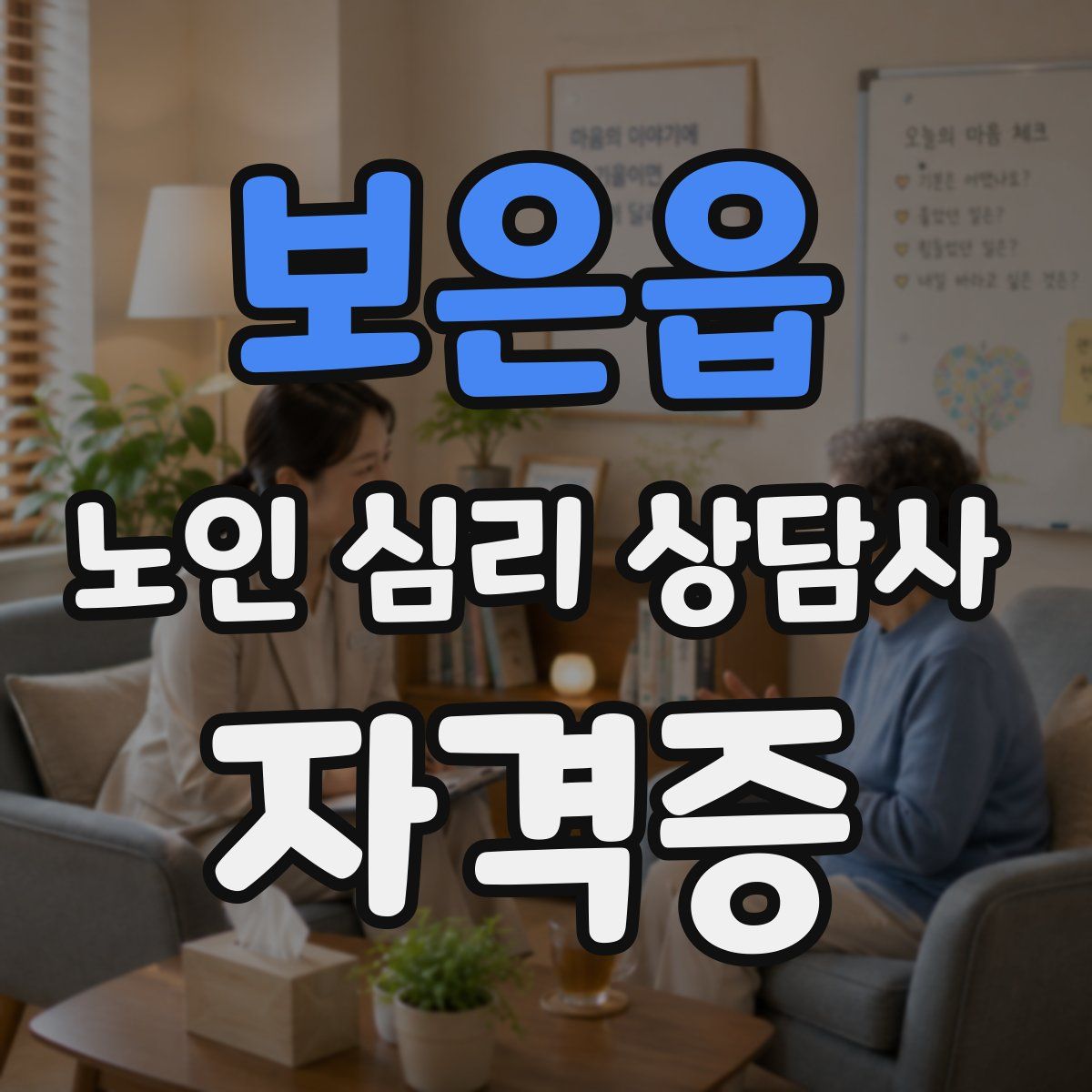 보은읍 노인 심리 상담사 자격증
