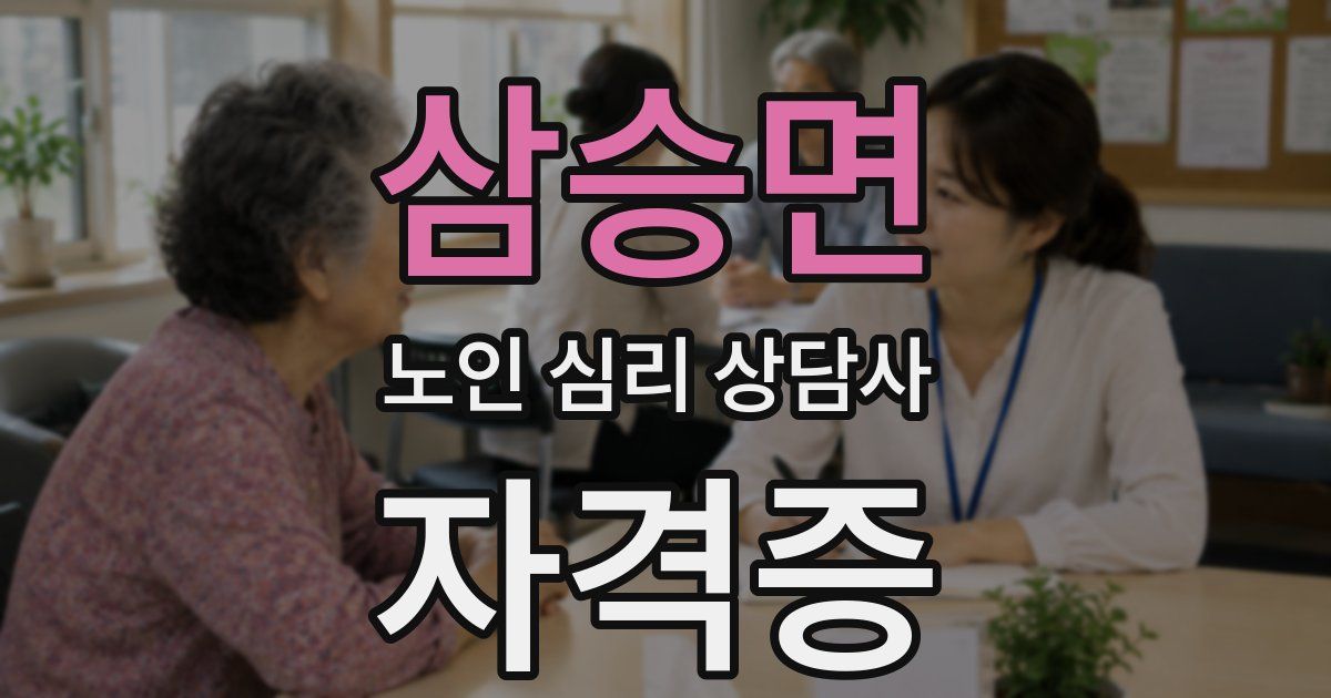 삼승면 노인 심리 상담사 자격증