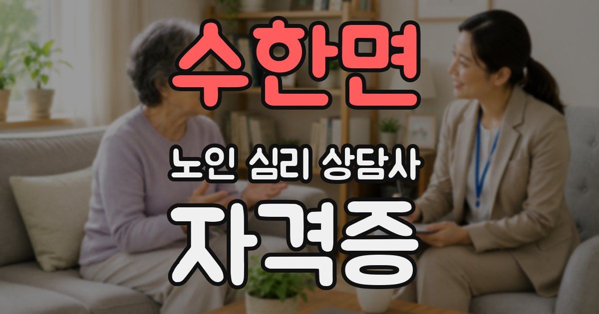 수한면 노인 심리 상담사 자격증