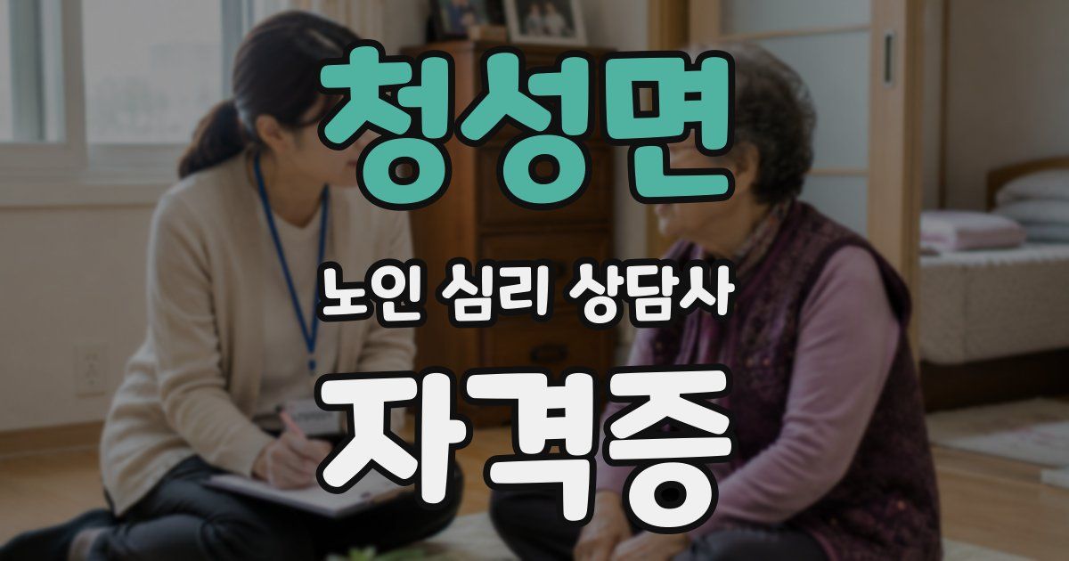 청성면 노인 심리 상담사 자격증