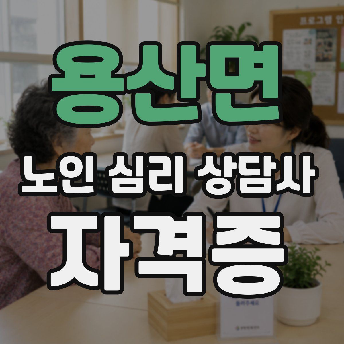 용산면 노인 심리 상담사 자격증