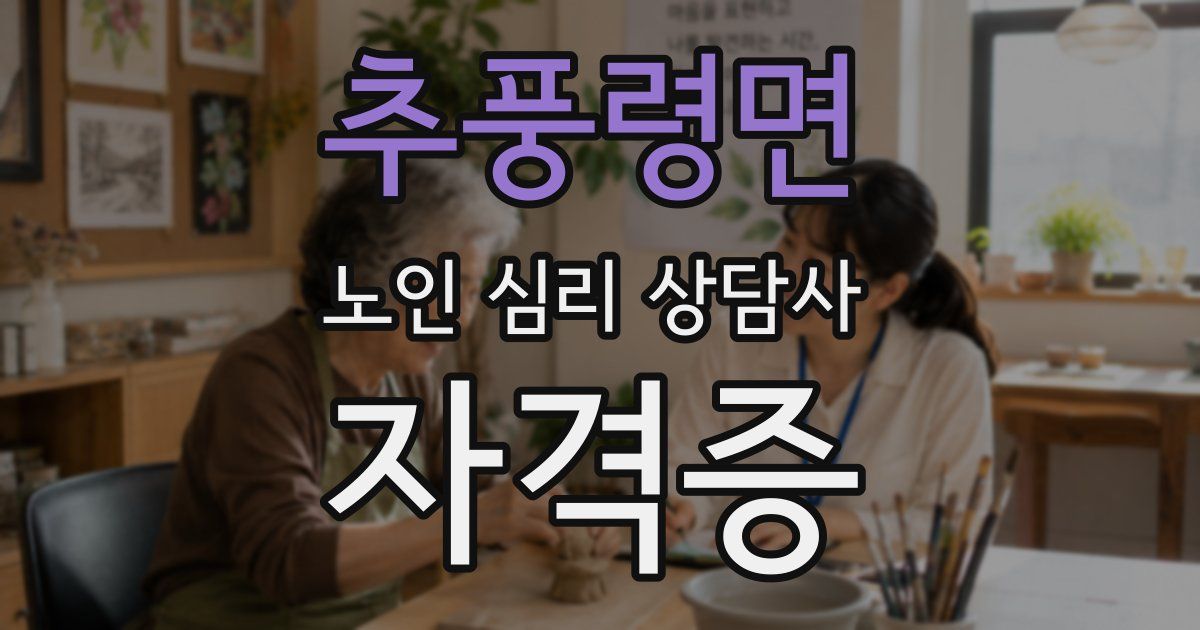 추풍령면 노인 심리 상담사 자격증