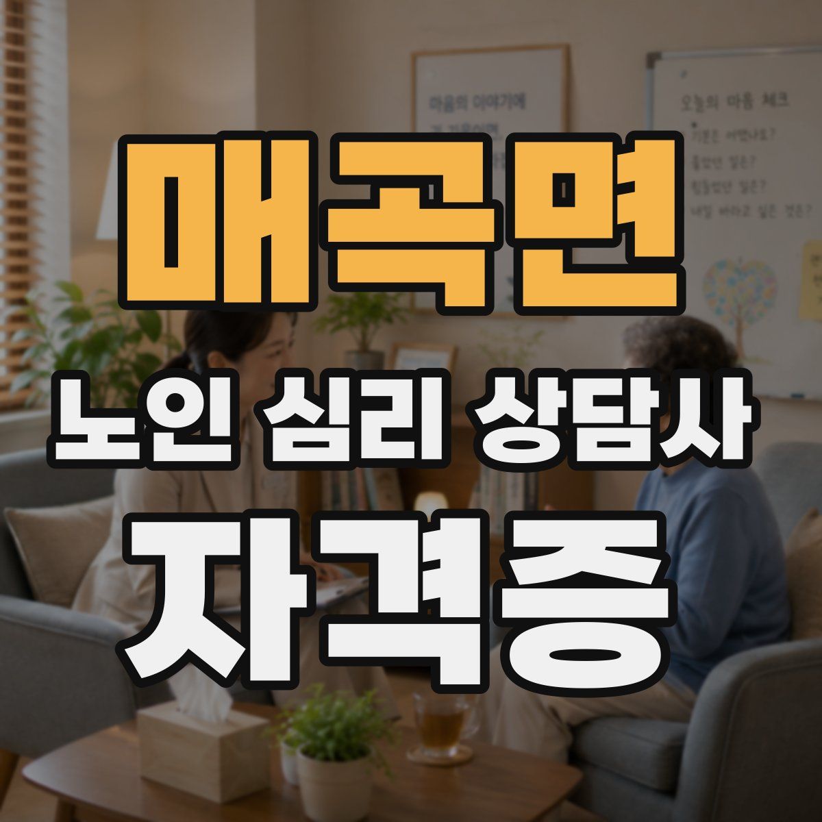 매곡면 노인 심리 상담사 자격증