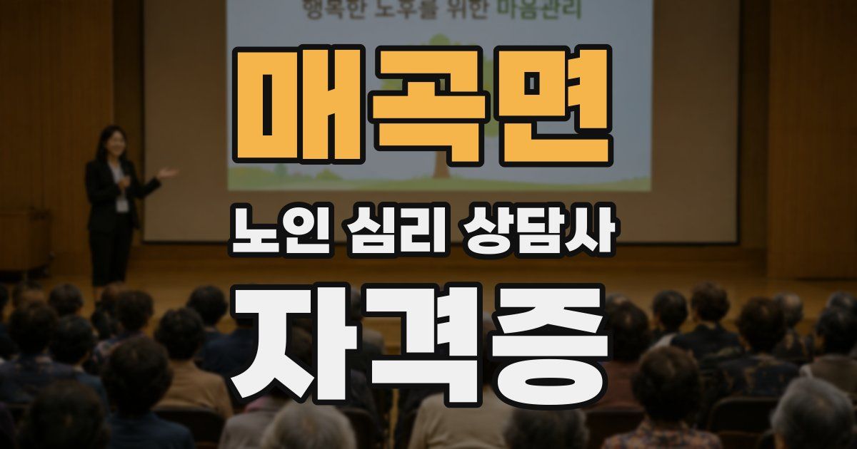 매곡면 노인 심리 상담사 자격증