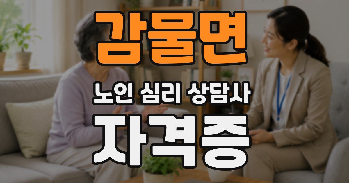감물면 노인 심리 상담사 자격증