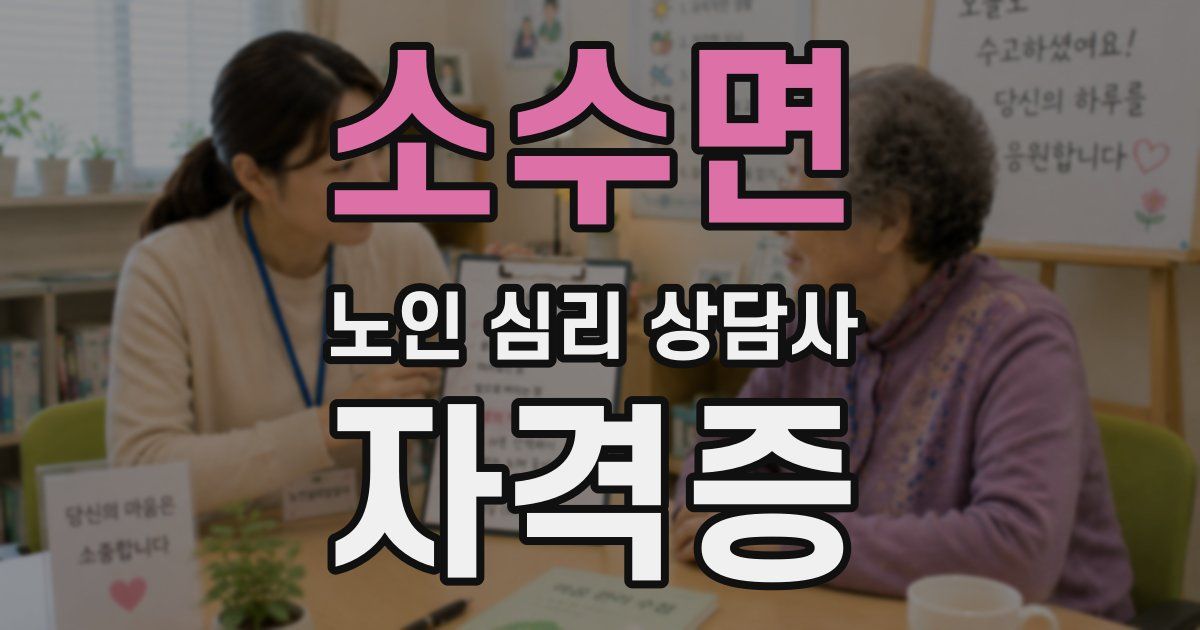 소수면 노인 심리 상담사 자격증
