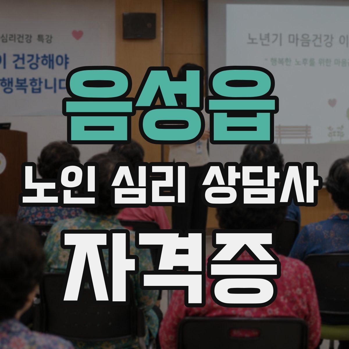 음성읍 노인 심리 상담사 자격증