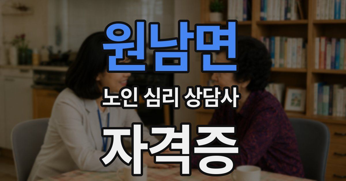 원남면 노인 심리 상담사 자격증