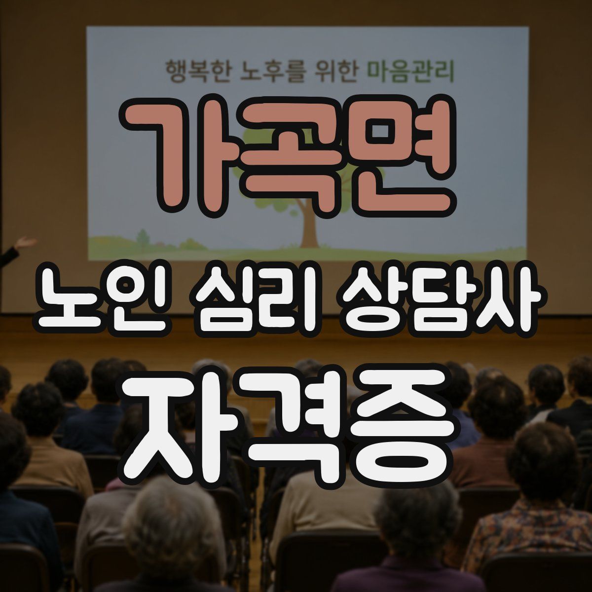 가곡면 노인 심리 상담사 자격증
