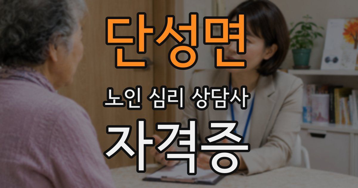 단성면 노인 심리 상담사 자격증
