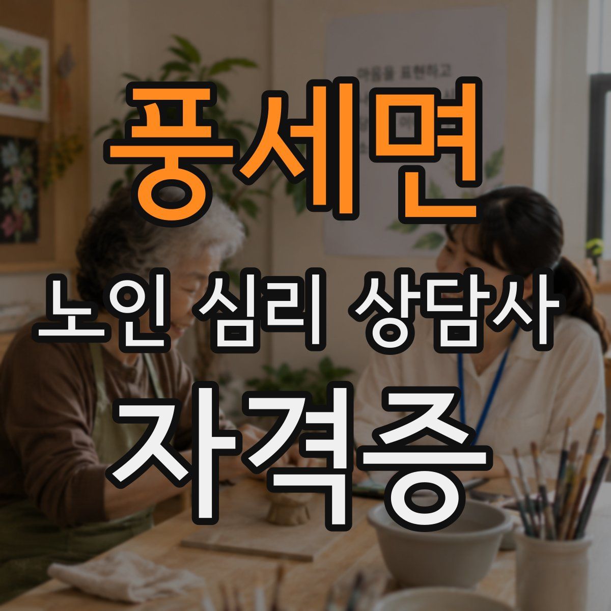 풍세면 노인 심리 상담사 자격증