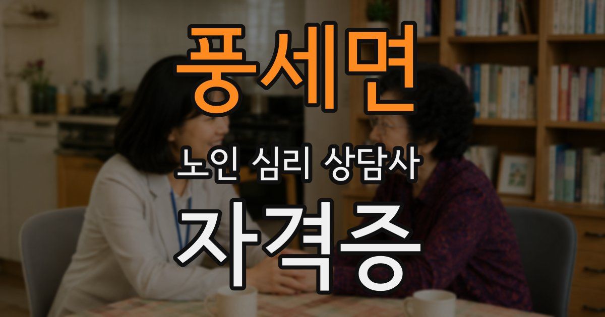 풍세면 노인 심리 상담사 자격증