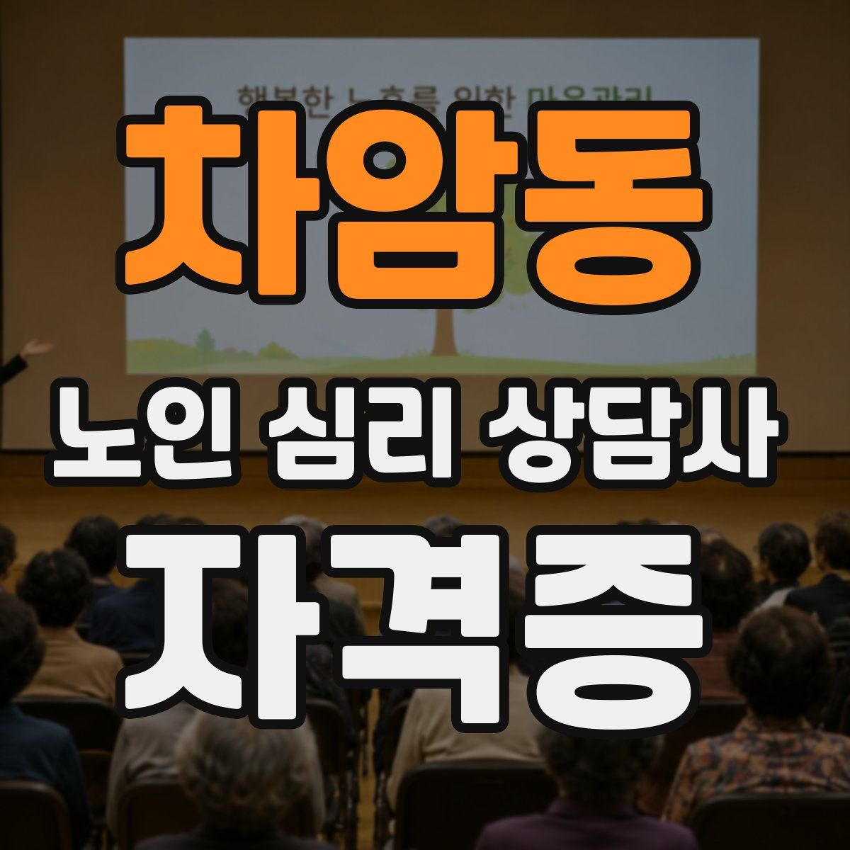 차암동 노인 심리 상담사 자격증