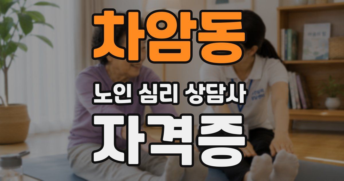 차암동 노인 심리 상담사 자격증